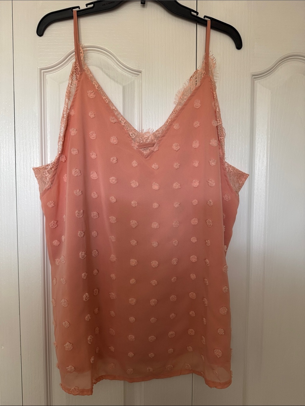 Sheer Lace-Trim Camisole in Peach